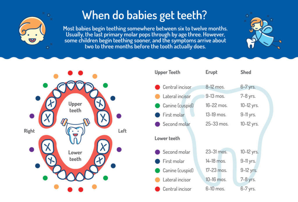 A 4 Point Guide To Taking Care Of Your Baby’s Oral Health