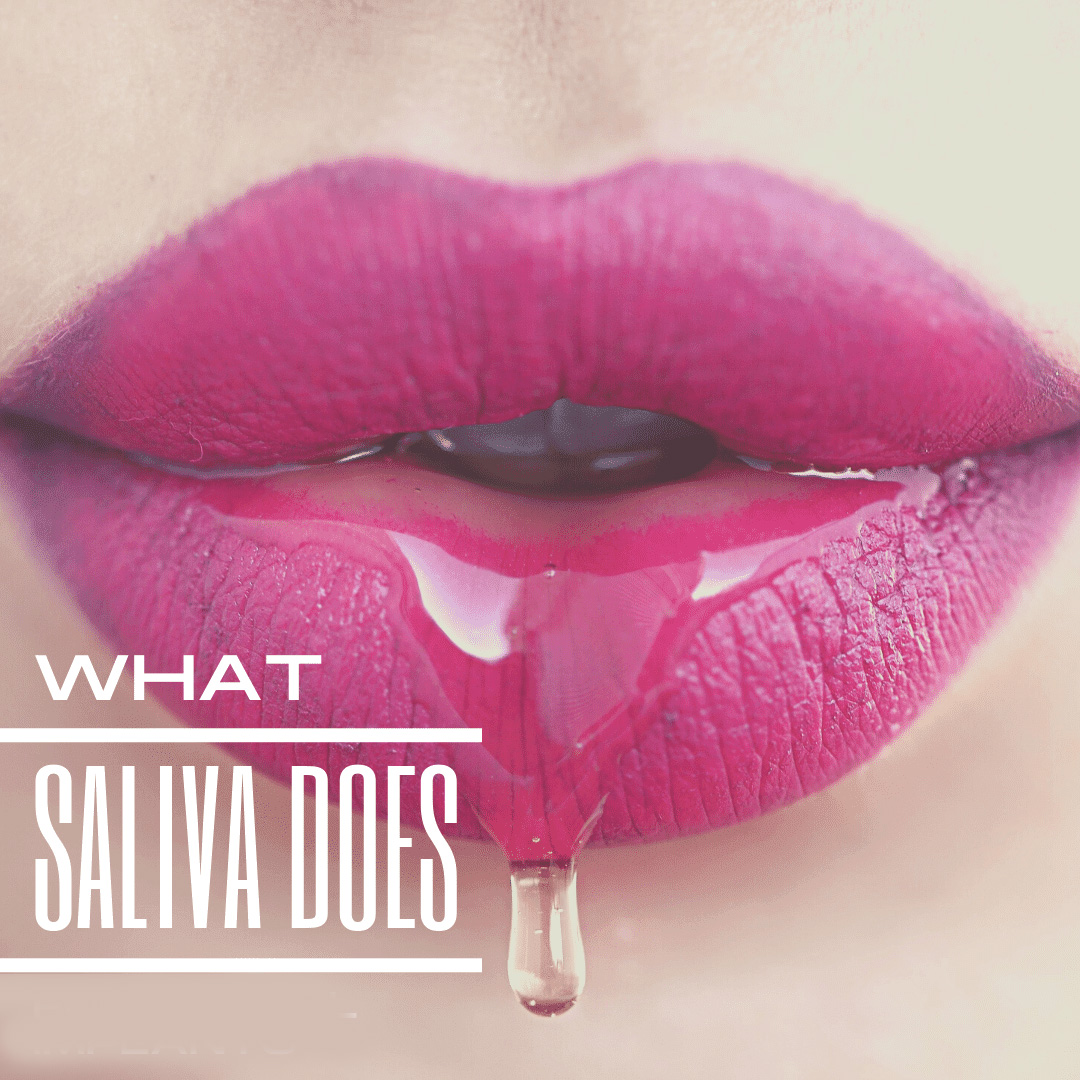4 Important Dental Benefits Of Saliva 3