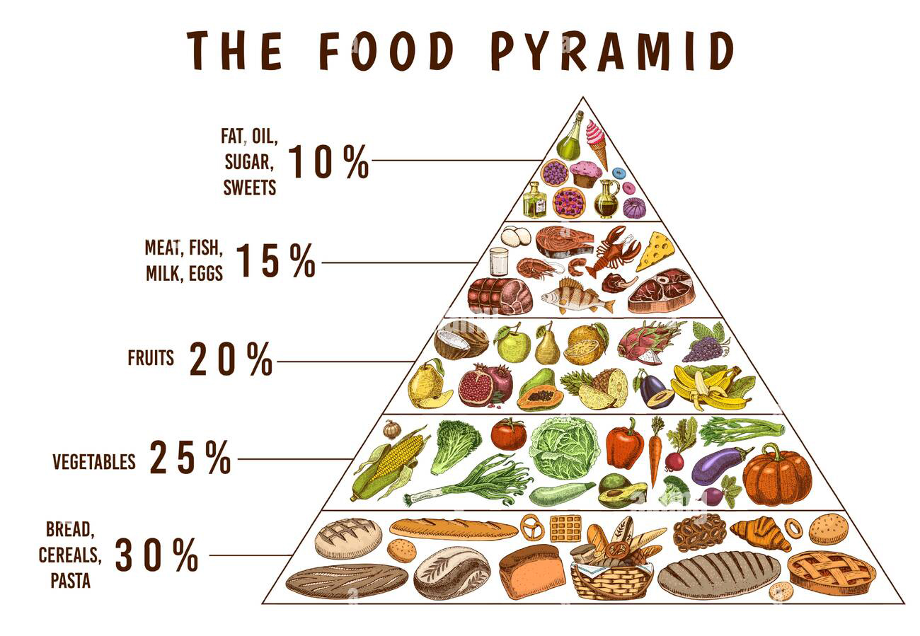 healthy-food-plan-pyramid-infographics-for-balanced-diet-percentage-lifestyle-concept-ingredients-for-meal-plan-nutrition-guide-ha healthy-food-plan-pyramid-infographics-for-balanced-diet-percentage-lifestyle-concept-ingredients-for-meal-plan-nutrition-guide-ha